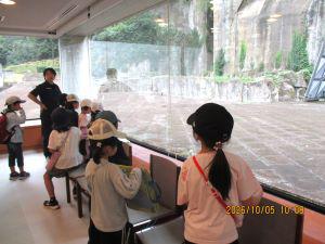IMG_3601.JPG