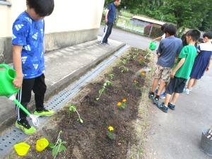 IMG_4083.JPG
