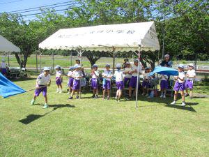 IMG_4317.JPG