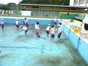 IMG_4413.JPG