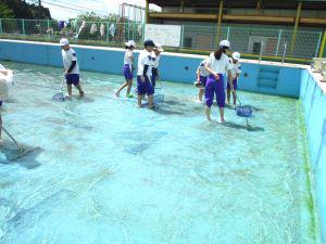 IMG_4416.JPG