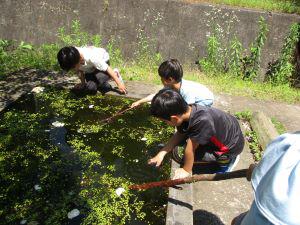 IMG_4448.JPG
