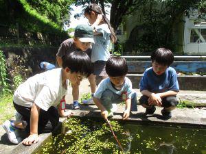 IMG_4456.JPG
