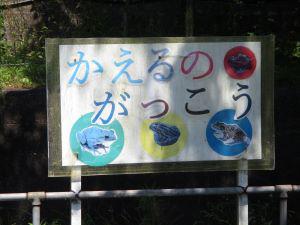 IMG_4463.JPG
