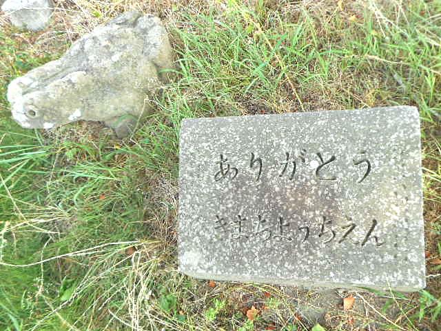 DSCN3430.JPG