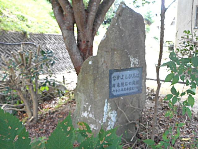 DSCN3454.JPG