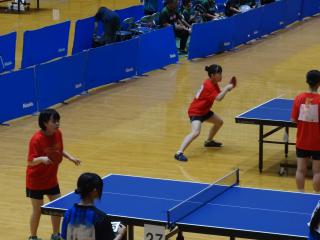 DSC03229.JPG