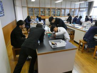 P1066421.JPG