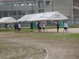 P1067357.JPG