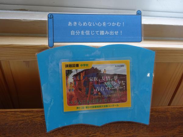 DSC06075.JPG