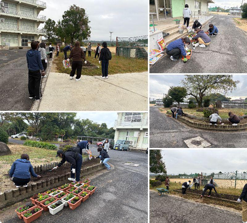 PTA花壇整備 秋.jpg