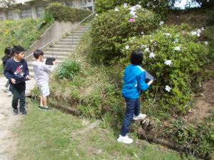 DSCN8339.JPG
