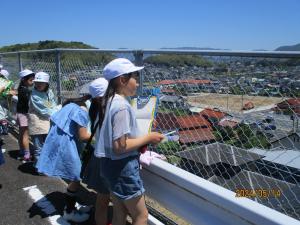 IMG_3685.JPG