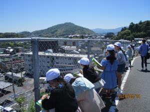 IMG_3686.JPG