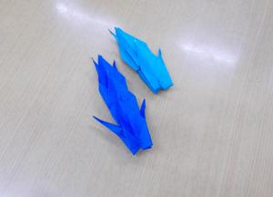 DSCN8481.JPG