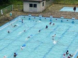 IMG_2384.jpg