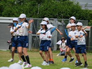 IMG_3482.JPG