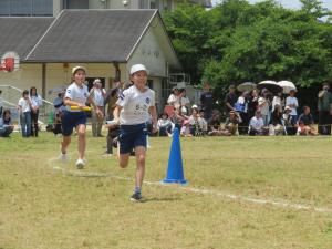 IMG_3505.JPG