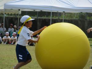 IMG_5659.JPG