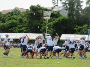 IMG_5662.JPG