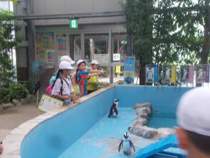 DSCN8833.JPG