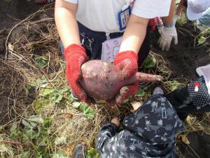 DSCN9038.JPG