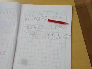 DSCN9225.JPG