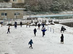IMG_3289.jpg