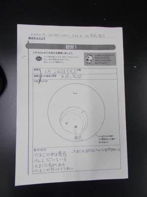 DSCN0441.JPG