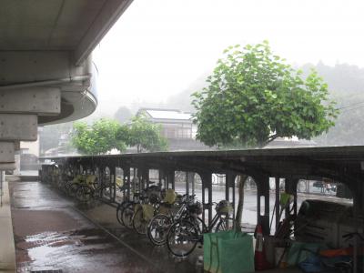 IMG_5648.JPG