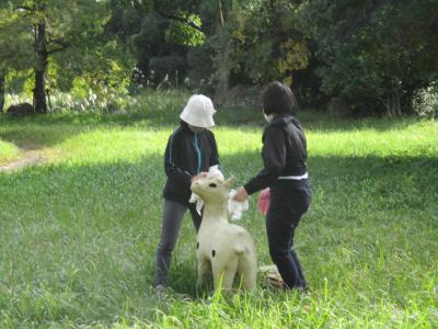 IMG_7431.JPG