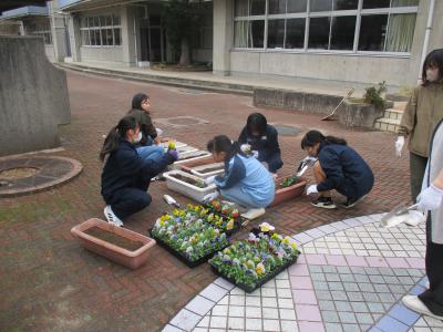 IMG_7488.JPG