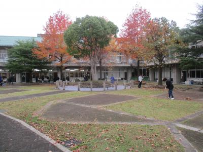 IMG_7493.JPG