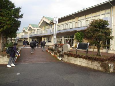 IMG_8268.JPG