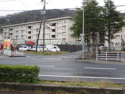 IMG_8271.JPG