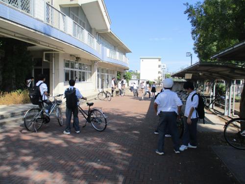 IMG_8487.JPG