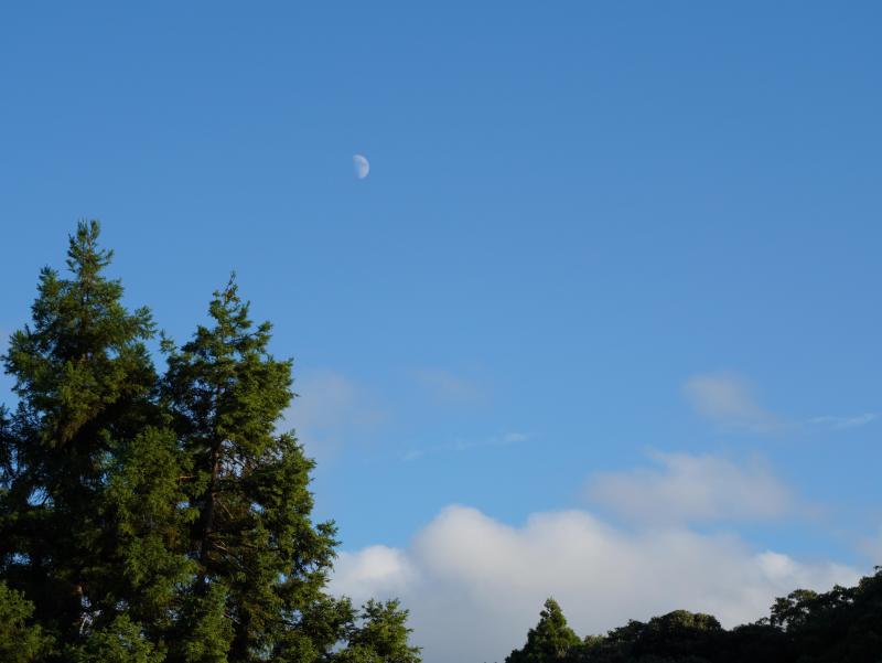 DSC00034.JPG