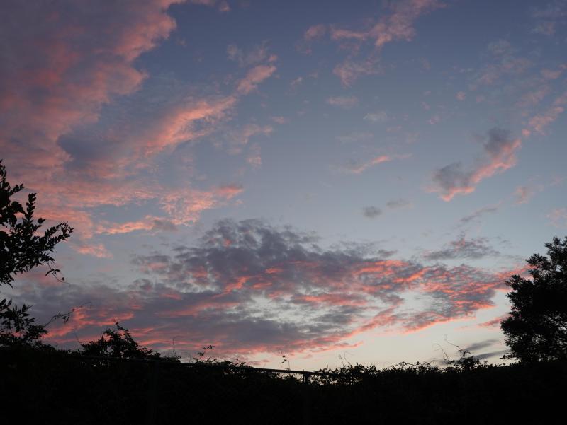 DSC00047.JPG