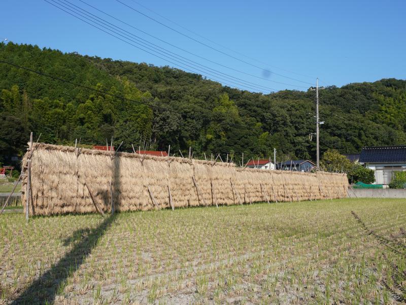 DSC00130.JPG
