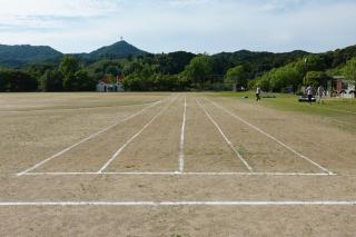 DSC00354(2)-thumb-320xauto-188312.jpg