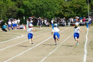DSC00389(2)-thumb-320xauto-188525.jpg