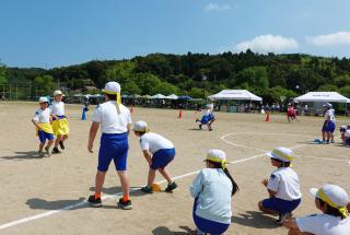 DSC00413(2)-thumb-320xauto-188527.jpg