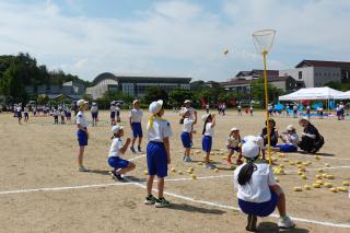 DSC00426(2)-thumb-320xauto-188529.jpg