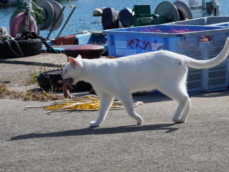 DSC08283.JPG