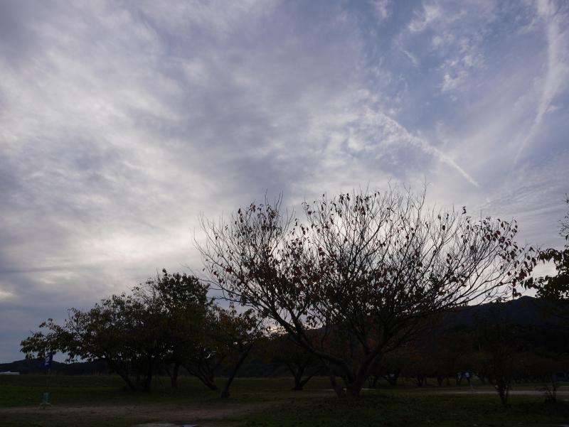 DSC08395.JPG