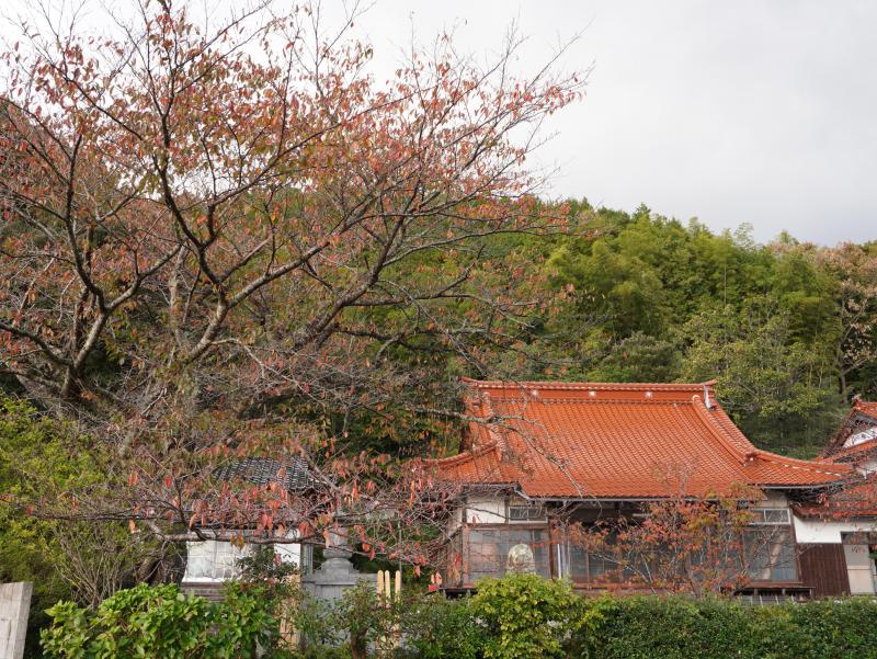 DSC08468.JPG