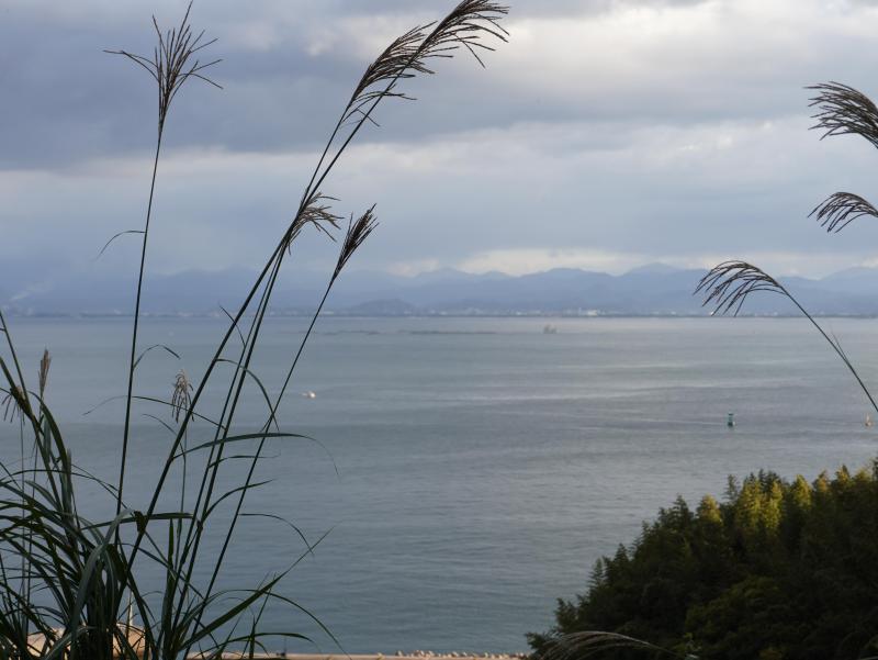 DSC08544.JPG