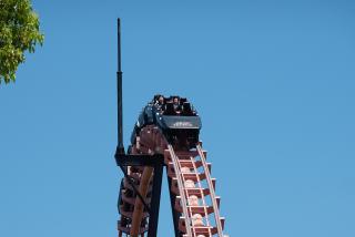 DSC09717(2)-thumb-320xauto-183188.jpg