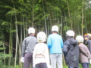 IMG_4546.JPG_1-thumb-320xauto-205772.jpg