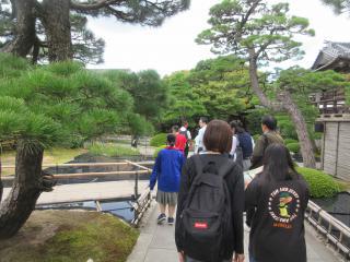 IMG_4566-thumb-320xauto-205356.jpg